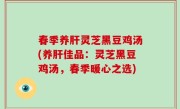春季养肝灵芝黑豆鸡汤(养肝佳品：灵芝黑豆鸡汤，春季暖心之选)