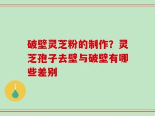 破壁灵芝粉的制作？灵芝孢子去壁与破壁有哪些差别