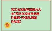 灵芝包装推荐语图片大全(灵芝包装推荐语图片集锦-50张优美图片欣赏)