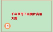 千年灵芝下山图片高清大图