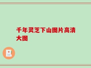 千年灵芝下山图片高清大图