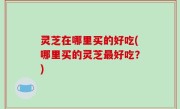 灵芝在哪里买的好吃(哪里买的灵芝最好吃？)