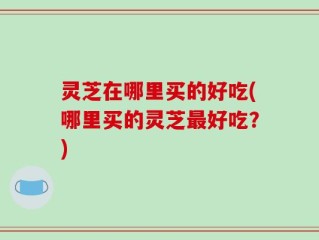 灵芝在哪里买的好吃(哪里买的灵芝最好吃？)