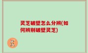 灵芝破壁怎么分辨(如何辨别破壁灵芝)