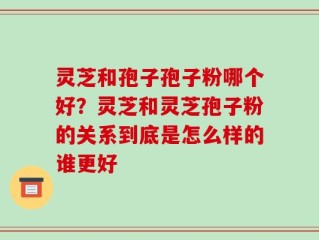 灵芝和孢子孢子粉哪个好？灵芝和灵芝孢子粉的关系到底是怎么样的谁更好