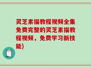 灵芝素描教程视频全集免费完整的灵芝素描教程视频，免费学习新技能)