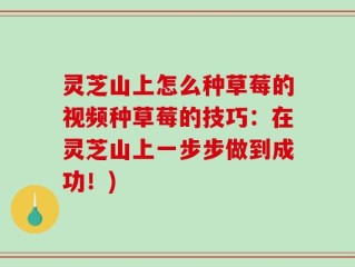 灵芝山上怎么种草莓的视频种草莓的技巧：在灵芝山上一步步做到成功！)