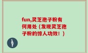 fun,灵芝孢子粉有何用处 (发现灵芝孢子粉的惊人功效！)