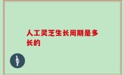 人工灵芝生长周期是多长的