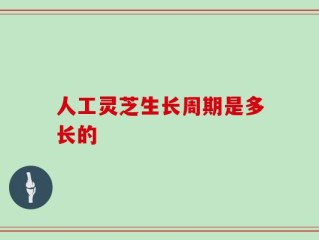 人工灵芝生长周期是多长的