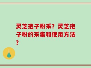 灵芝孢子粉采？灵芝孢子粉的采集和使用方法？