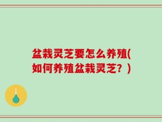 盆栽灵芝要怎么养殖(如何养殖盆栽灵芝？)