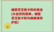 破壁灵芝狍子粉的用途(大自然的恩典，破壁灵芝狍子粉为健康保驾护航)
