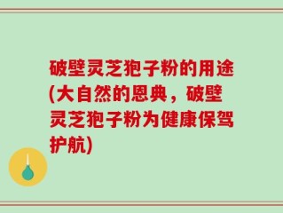 破壁灵芝狍子粉的用途(大自然的恩典，破壁灵芝狍子粉为健康保驾护航)