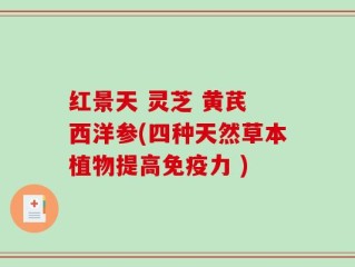 红景天 灵芝 黄芪 西洋参(四种天然草本植物提高免疫力 )