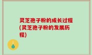 灵芝孢子粉的成长过程(灵芝孢子粉的发展历程)