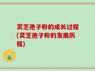 灵芝孢子粉的成长过程(灵芝孢子粉的发展历程)