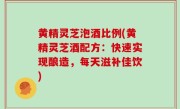 黄精灵芝泡酒比例(黄精灵芝酒配方：快速实现酿造，每天滋补佳饮)