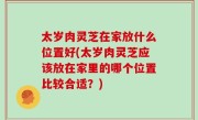 太岁肉灵芝在家放什么位置好(太岁肉灵芝应该放在家里的哪个位置比较合适？)