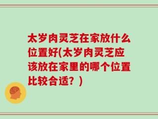 太岁肉灵芝在家放什么位置好(太岁肉灵芝应该放在家里的哪个位置比较合适？)