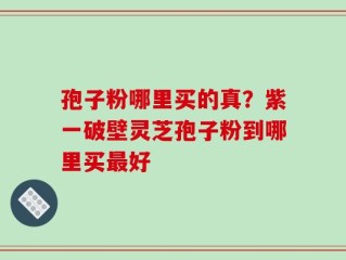 孢子粉哪里买的真？紫一破壁灵芝孢子粉到哪里买最好
