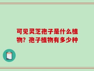 可见灵芝孢子是什么植物？孢子植物有多少种