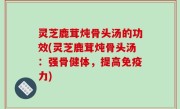 灵芝鹿茸炖骨头汤的功效(灵芝鹿茸炖骨头汤：强骨健体，提高免疫力)