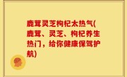 鹿茸灵芝枸杞太热气(鹿茸、灵芝、枸杞养生热门，给你健康保驾护航)