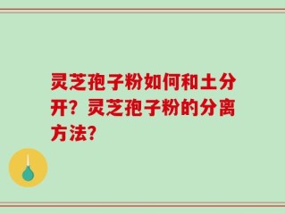 灵芝孢子粉如何和土分开？灵芝孢子粉的分离方法？