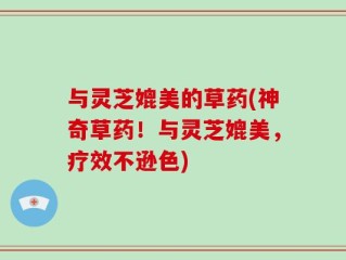 与灵芝媲美的草药(神奇草药！与灵芝媲美，疗效不逊色)