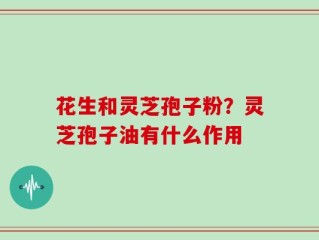 花生和灵芝孢子粉？灵芝孢子油有什么作用
