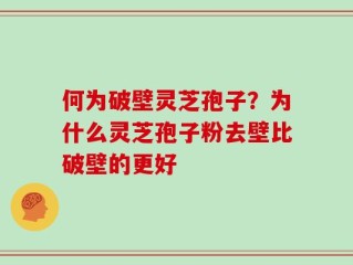 何为破壁灵芝孢子？为什么灵芝孢子粉去壁比破壁的更好