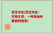 灵芝华伦(灵芝华伦：万物之灵，一种龙血树菌类的瑰宝)