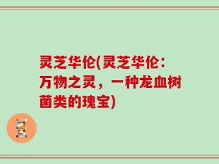 灵芝华伦(灵芝华伦：万物之灵，一种龙血树菌类的瑰宝)