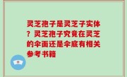 灵芝孢子是灵芝子实体？灵芝孢子究竟在灵芝的伞面还是伞底有相关参考书籍