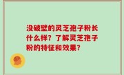 没破壁的灵芝孢子粉长什么样？了解灵芝孢子粉的特征和效果？