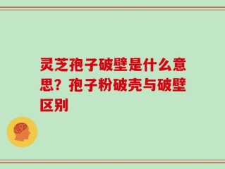 灵芝孢子破壁是什么意思？孢子粉破壳与破壁区别