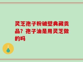 灵芝孢子粉破壁典藏贡品？孢子油是用灵芝做的吗