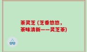 茶灵芝 (芝香悠悠，茶味清新——灵芝茶)