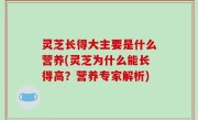 灵芝长得大主要是什么营养(灵芝为什么能长得高？营养专家解析)