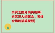 肉灵芝图片搞笑视频(肉灵芝大闹聚会，笑爆全场的搞笑视频)