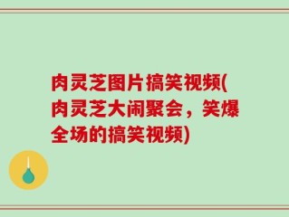 肉灵芝图片搞笑视频(肉灵芝大闹聚会，笑爆全场的搞笑视频)
