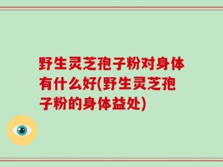 野生灵芝孢子粉对身体有什么好(野生灵芝孢子粉的身体益处)