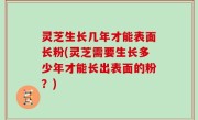 灵芝生长几年才能表面长粉(灵芝需要生长多少年才能长出表面的粉？)