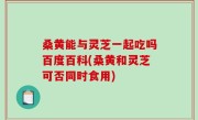 桑黄能与灵芝一起吃吗百度百科(桑黄和灵芝可否同时食用)