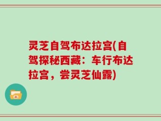 灵芝自驾布达拉宫(自驾探秘西藏：车行布达拉宫，尝灵芝仙露)
