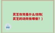 灵芝攻效是什么功效(灵芝的功效有哪些？)