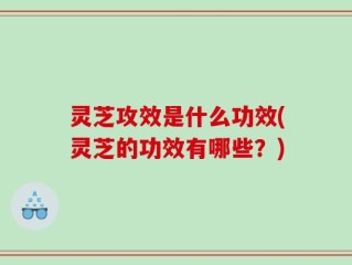 灵芝攻效是什么功效(灵芝的功效有哪些？)