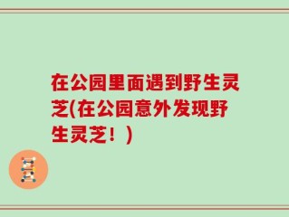在公园里面遇到野生灵芝(在公园意外发现野生灵芝！)