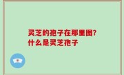灵芝的孢子在那里图？什么是灵芝孢子